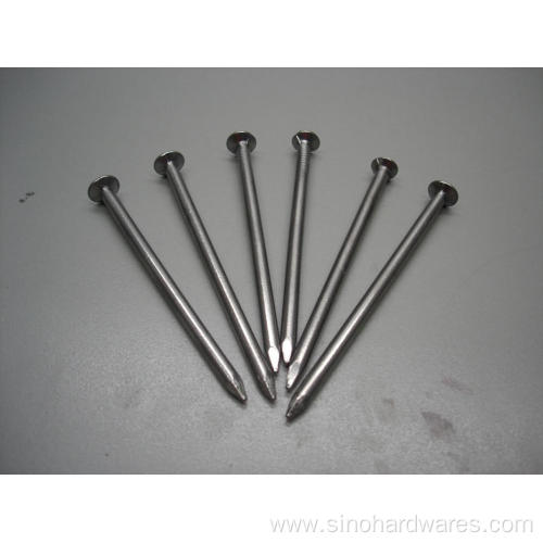 Hot Dipped Galvanized Round Common Nail